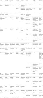 Role of mitochondria-associated endoplasmic reticulum membranes in insulin sensitivity, energy metabolism, and contraction of skeletal muscle